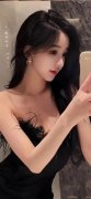 系十七届、十