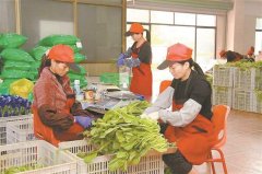 接力传承、锲